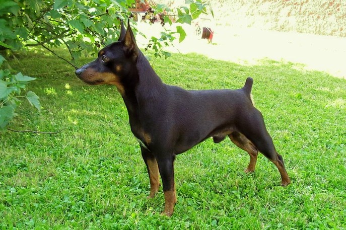 kiar025