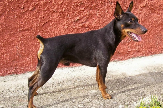kiar030